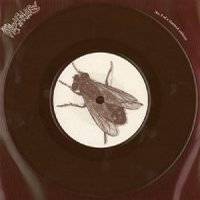 The Wildhearts : Greetings from Shitsville